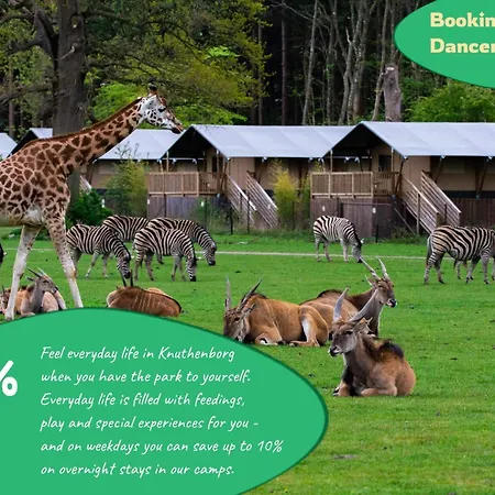 Lejlighed 4 Person On A In Faaborg