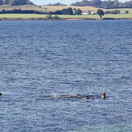 Lejlighed 4 Person On A In