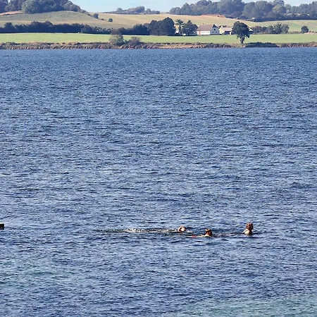 4 Person On A In *